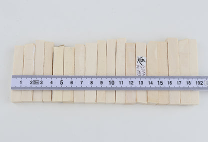 White mammoth ivory segments