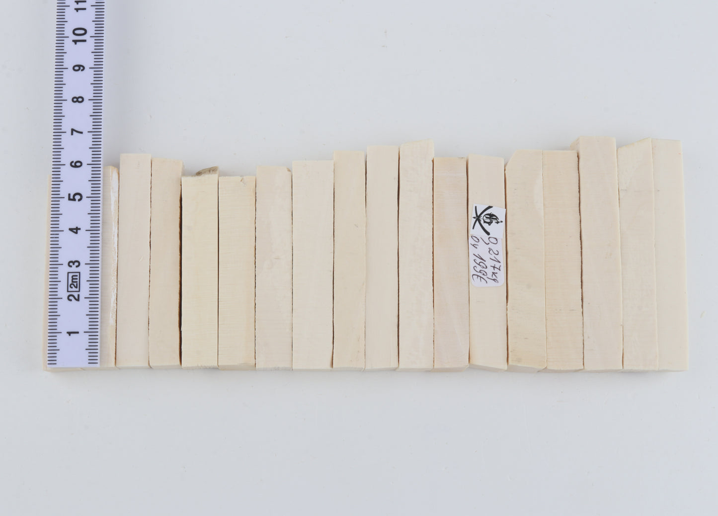 White mammoth ivory segments
