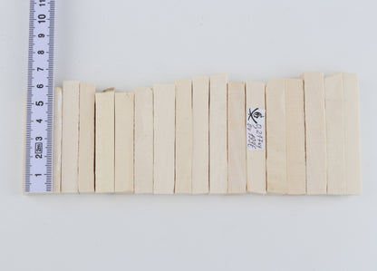 White mammoth ivory segments