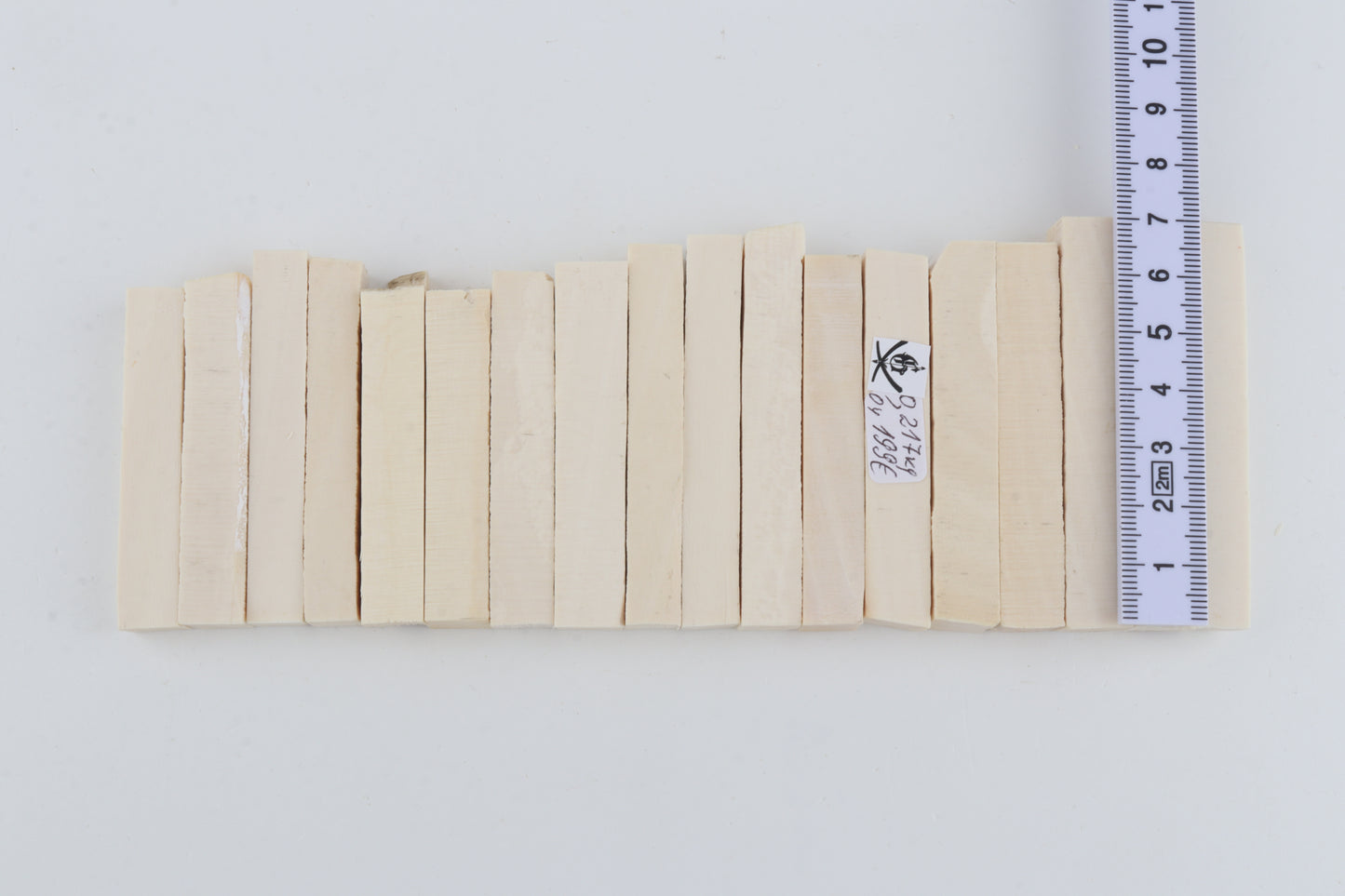White mammoth ivory segments
