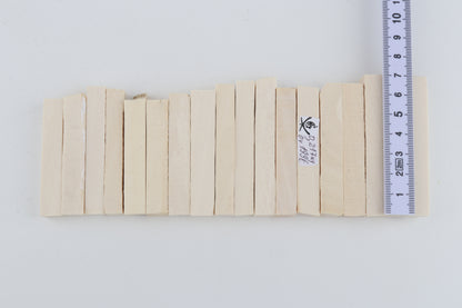 White mammoth ivory segments