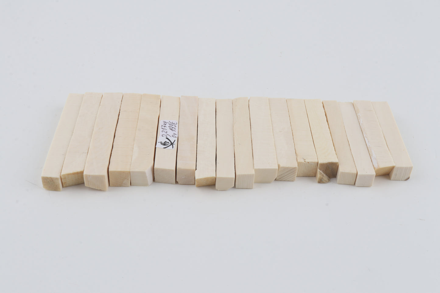 White mammoth ivory segments