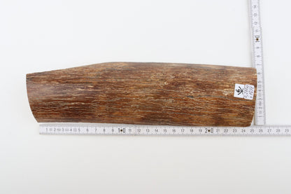 Brown mammoth bark
