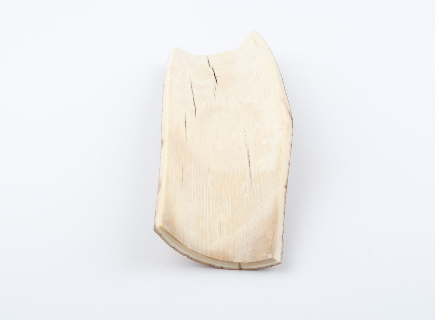 Brown mammoth bark