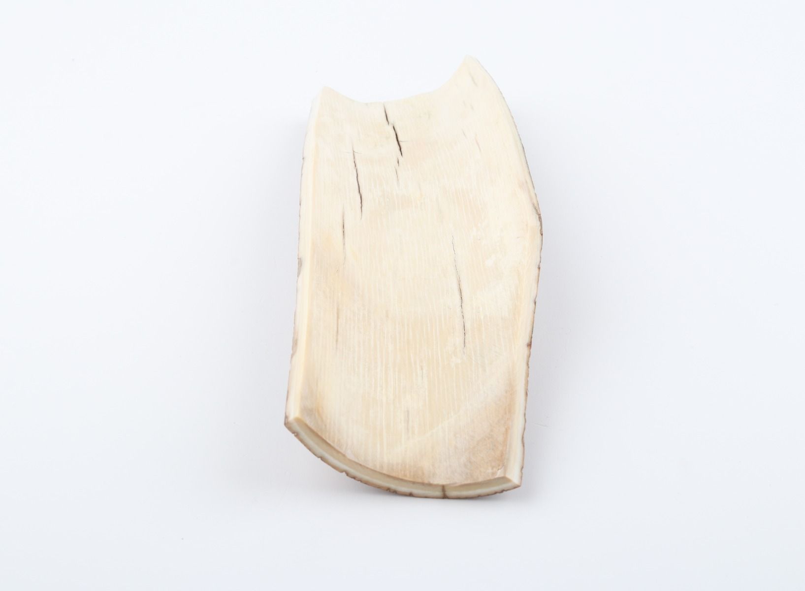 Brown mammoth bark
