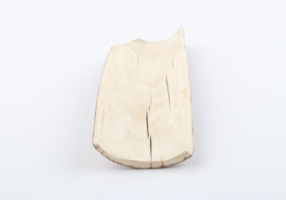 Brown mammoth bark