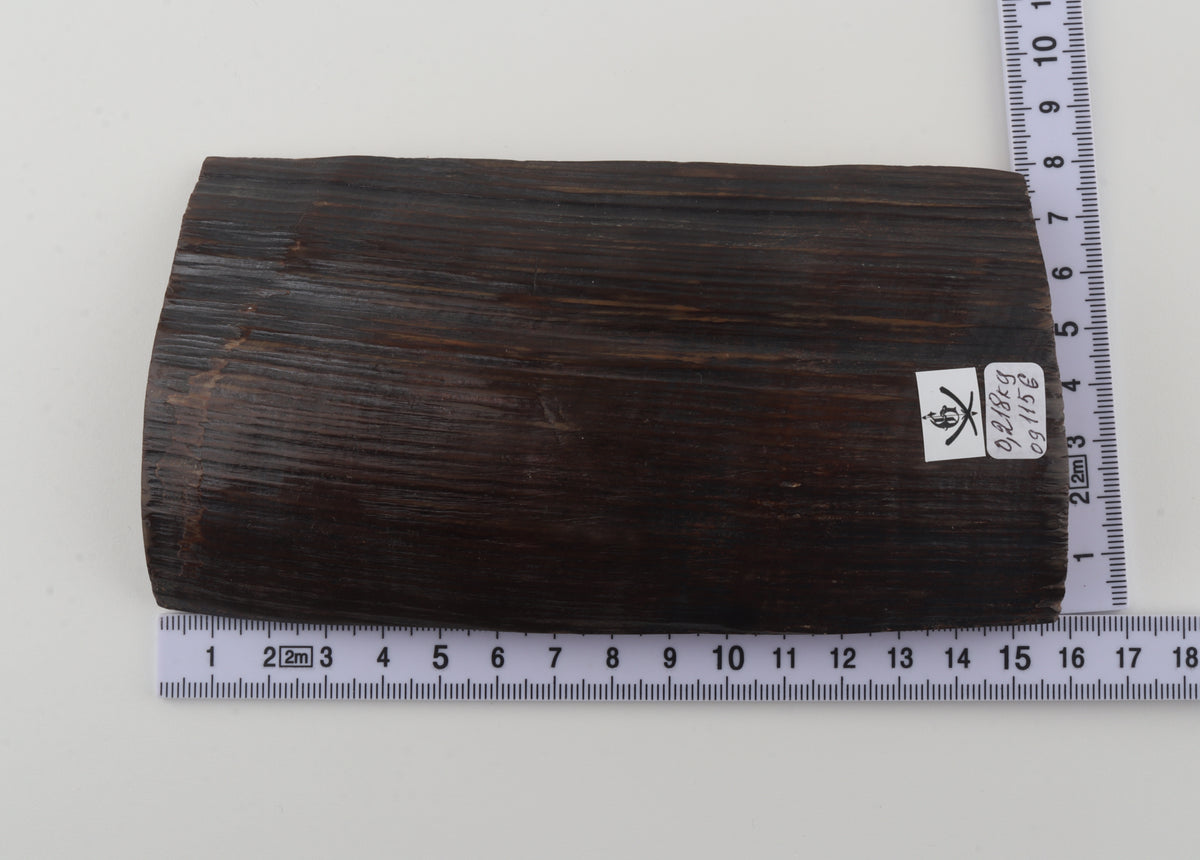 Brown-black mammoth bark