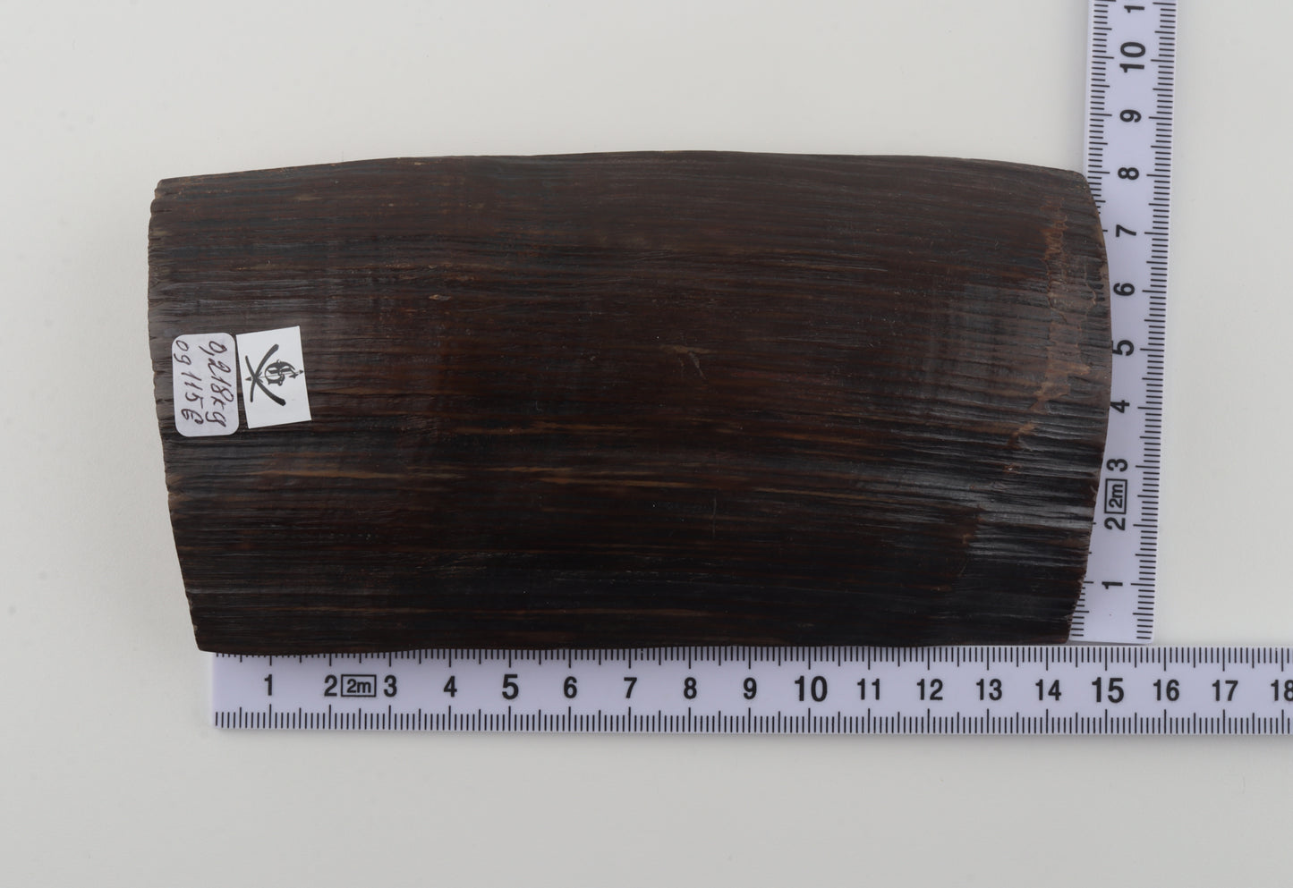 Brown-black mammoth bark