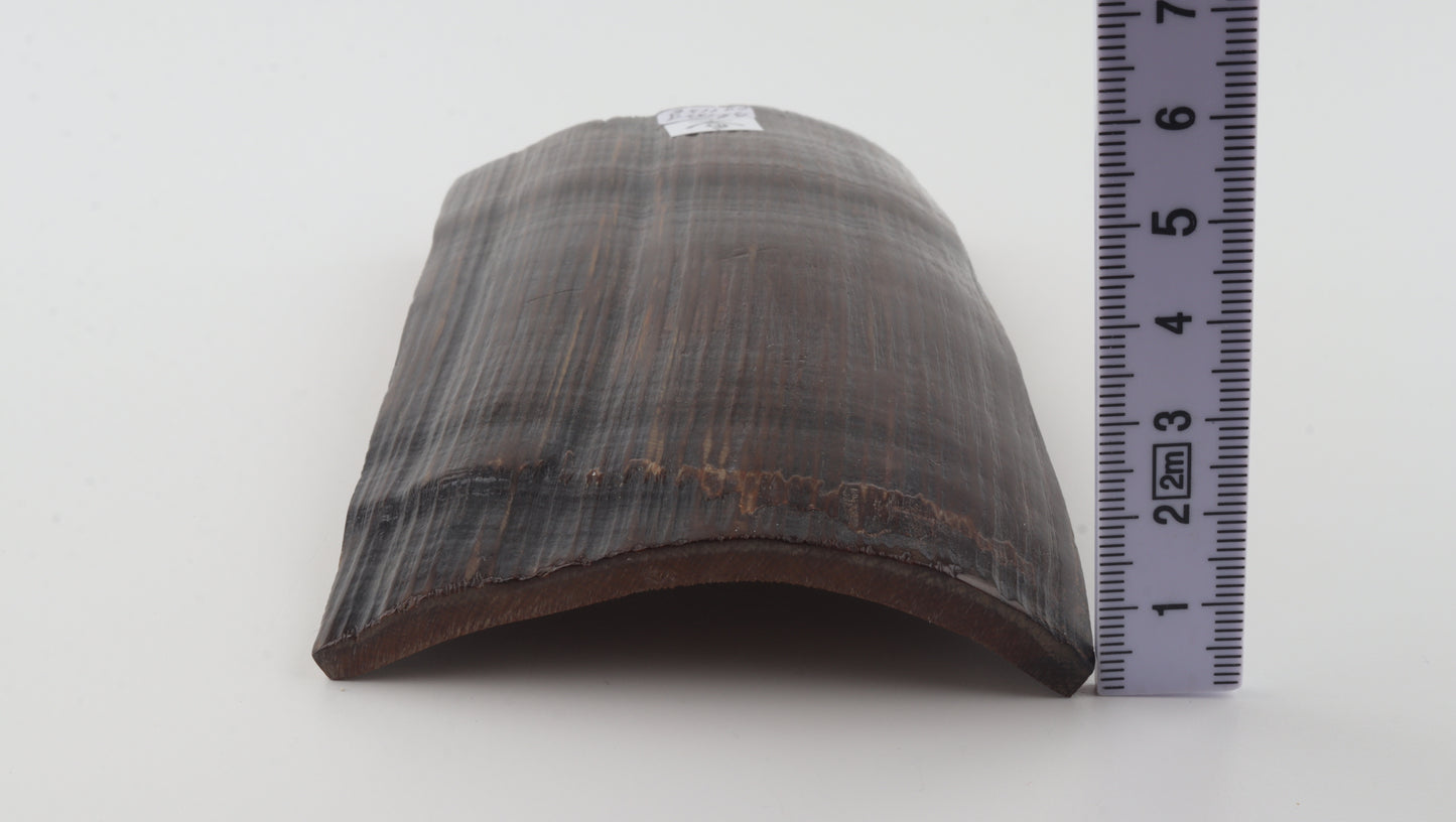 Brown-black mammoth bark