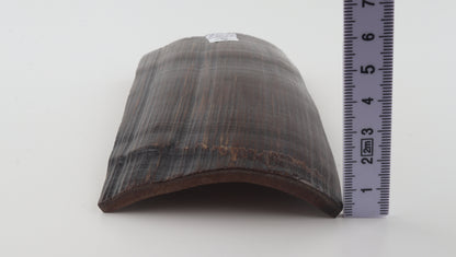Brown-black mammoth bark