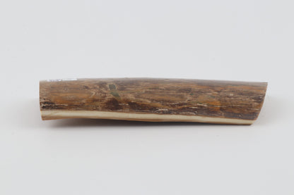 Beige mammoth bark