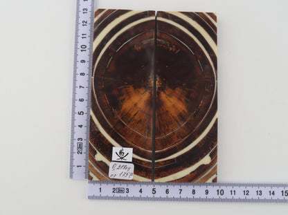 Stabilized mammoth ivory scales