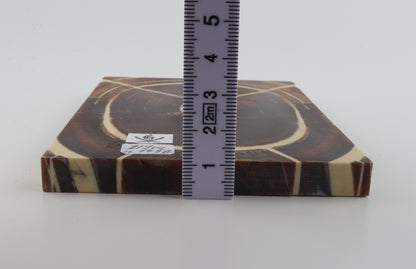 Stabilized mammoth ivory scales