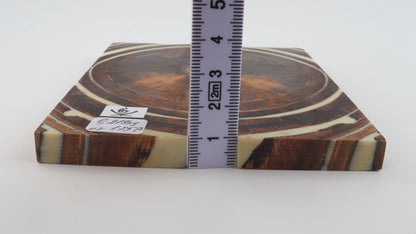 Stabilized mammoth ivory scales
