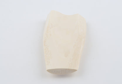 White mammoth ivory segment