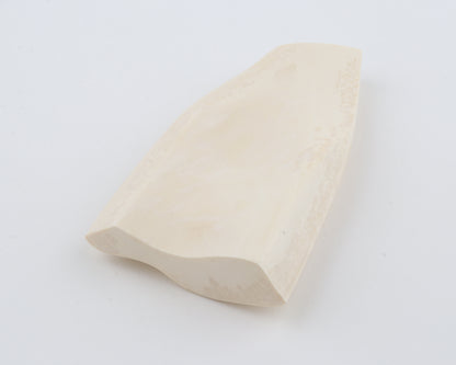 White mammoth ivory segment