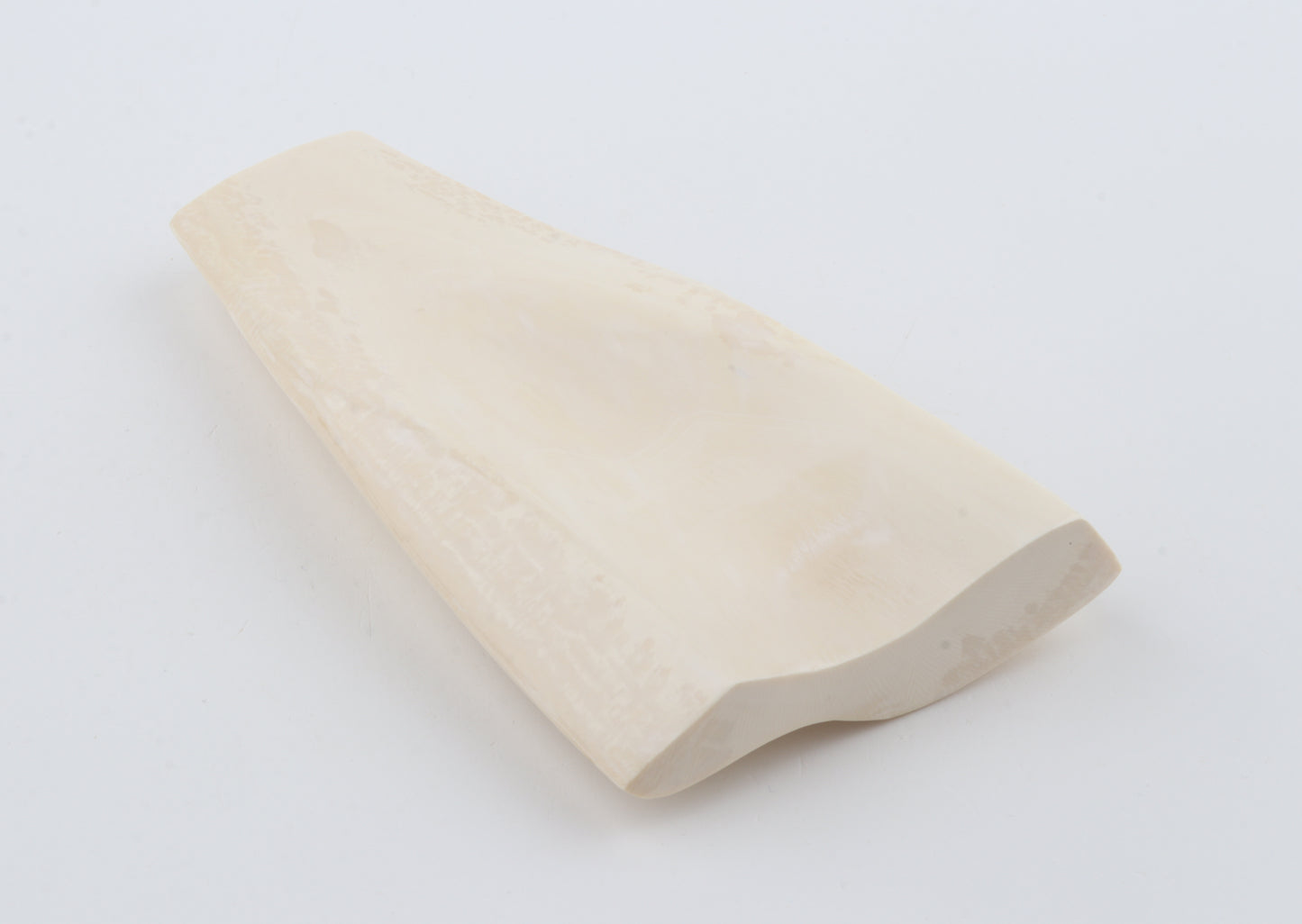 White mammoth ivory segment
