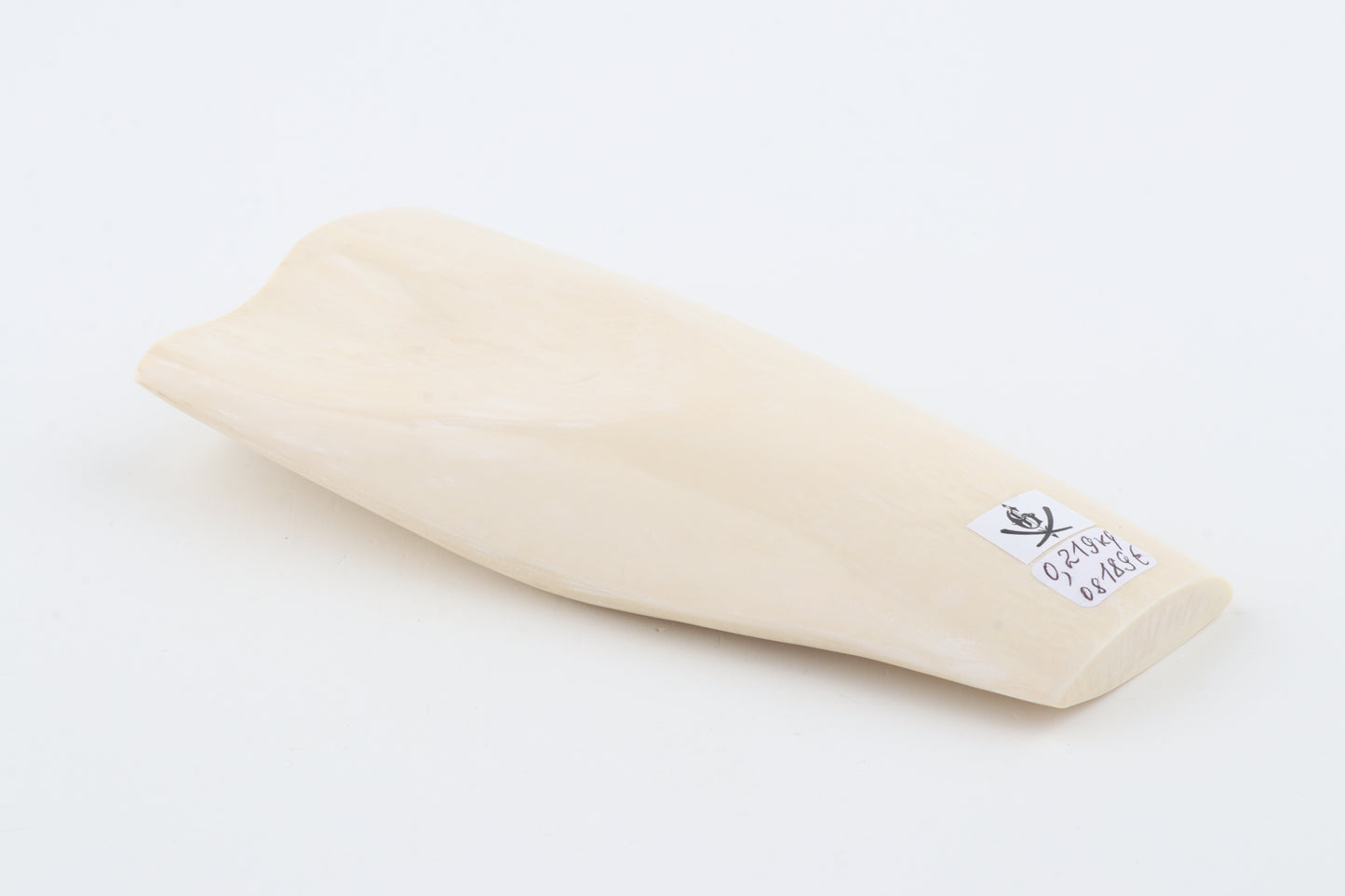 White mammoth ivory segment