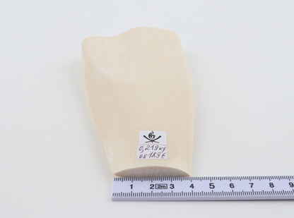White mammoth ivory segment