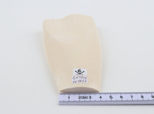 White mammoth ivory segment