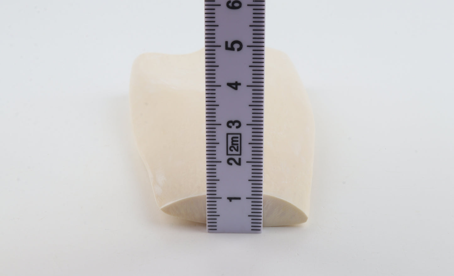 White mammoth ivory segment
