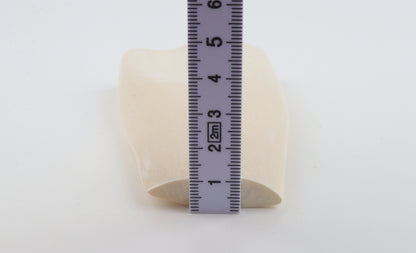 White mammoth ivory segment