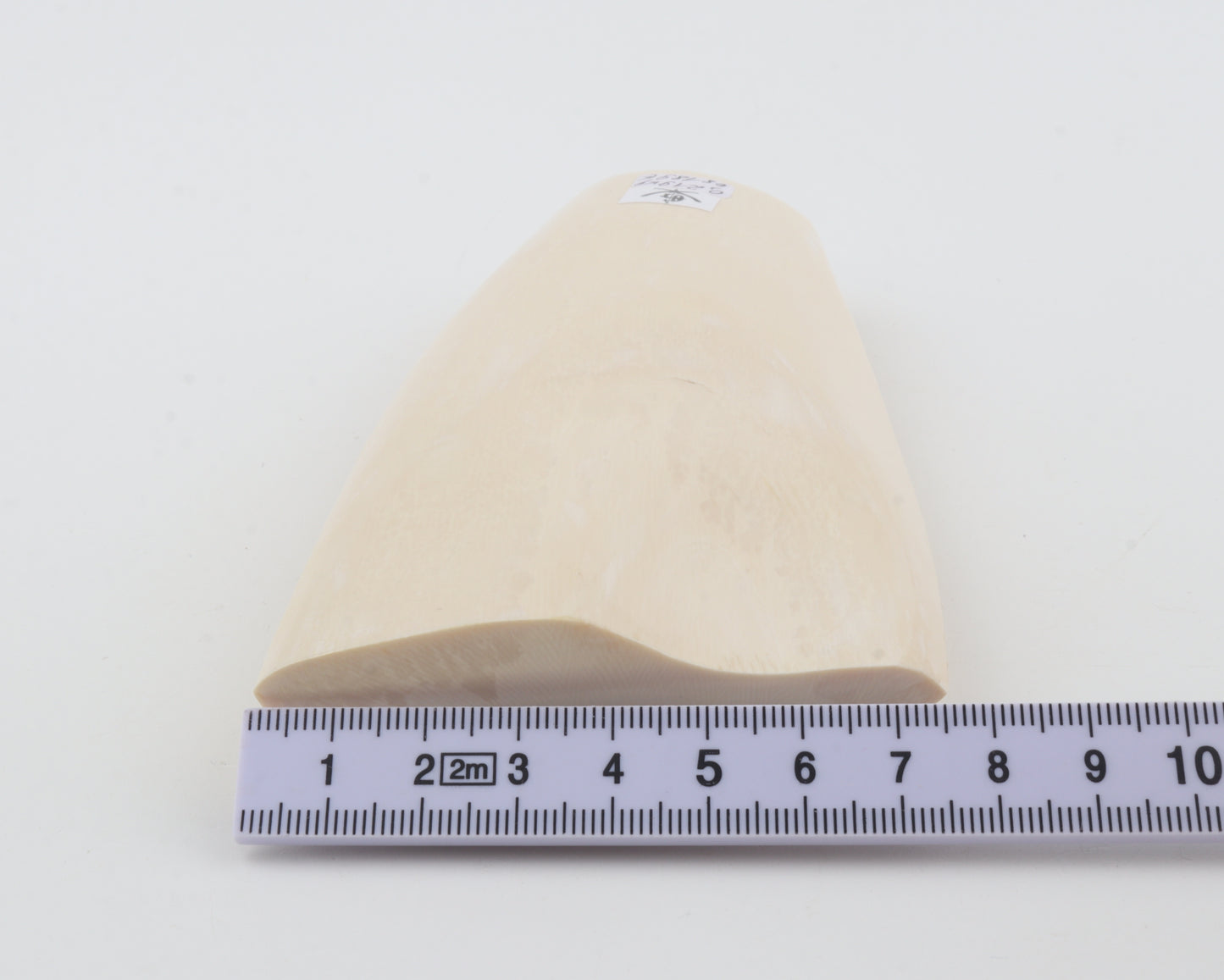 White mammoth ivory segment