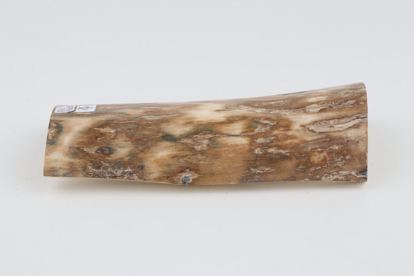 Natural woolly mammoth bark