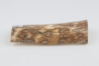 Natural woolly mammoth bark