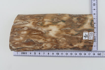 Natural woolly mammoth bark