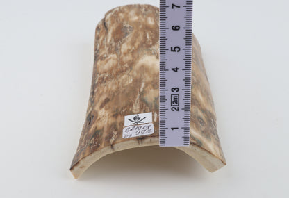 Natural woolly mammoth bark