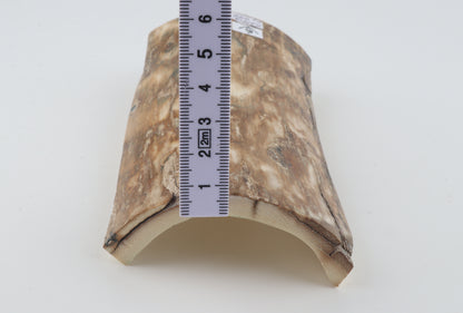 Natural woolly mammoth bark