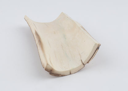 Natural woolly mammoth bark