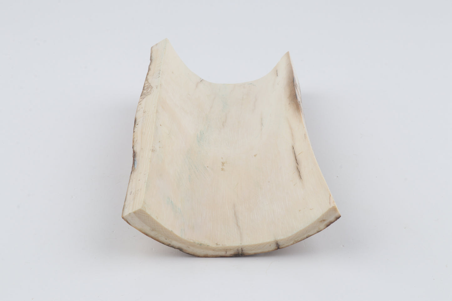 Natural woolly mammoth bark