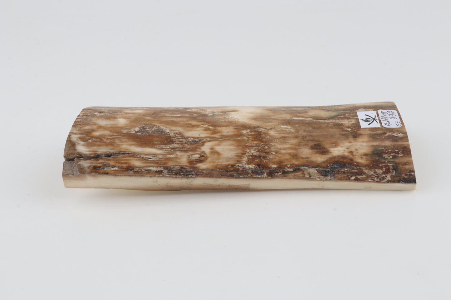 Natural woolly mammoth bark