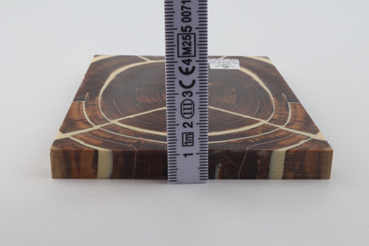 Stabilized mammoth ivory scales
