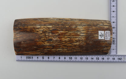 Brown-orange mammoth bark