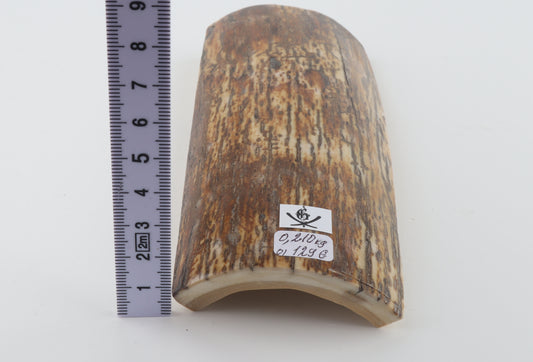 Brown-orange mammoth bark