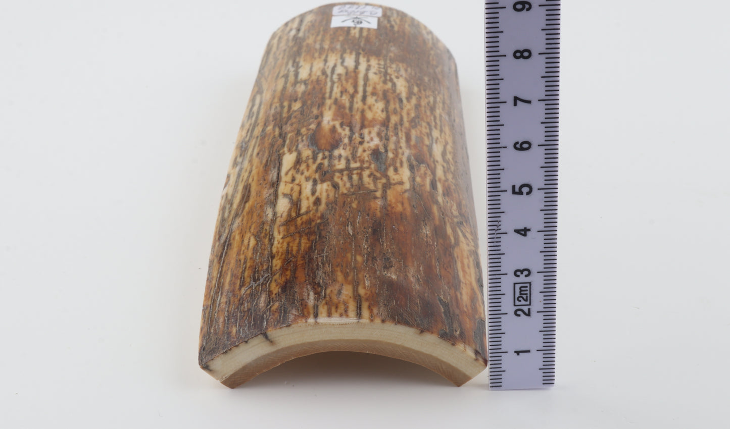 Brown-orange mammoth bark