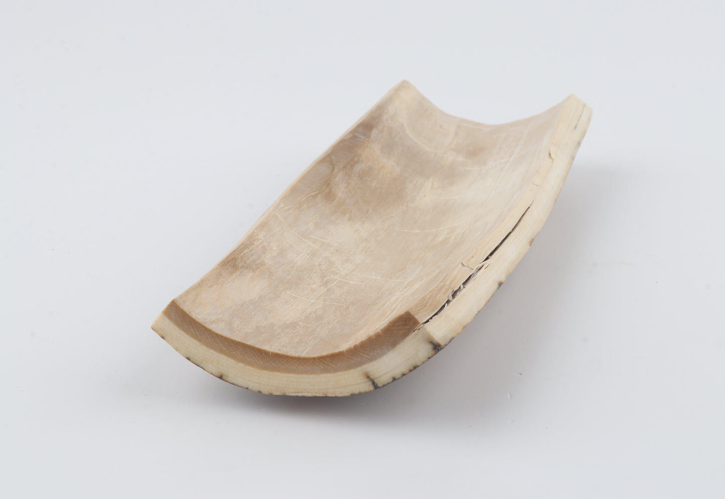 Brown-orange mammoth bark