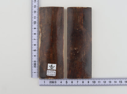 Natural mammoth bark scales