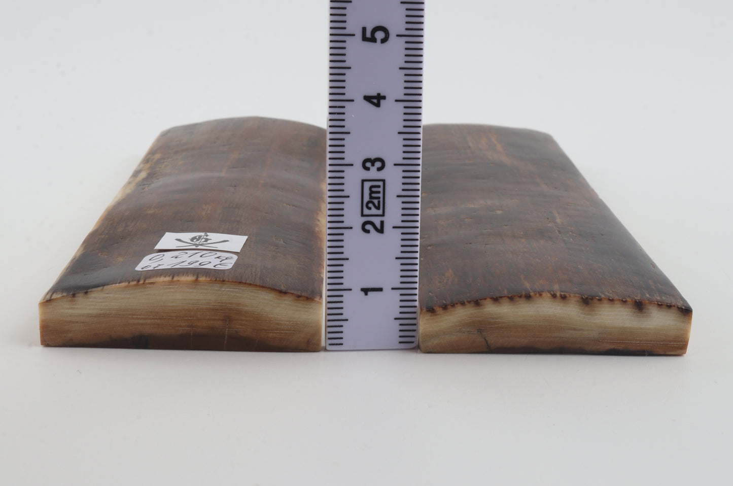 Natural mammoth bark scales