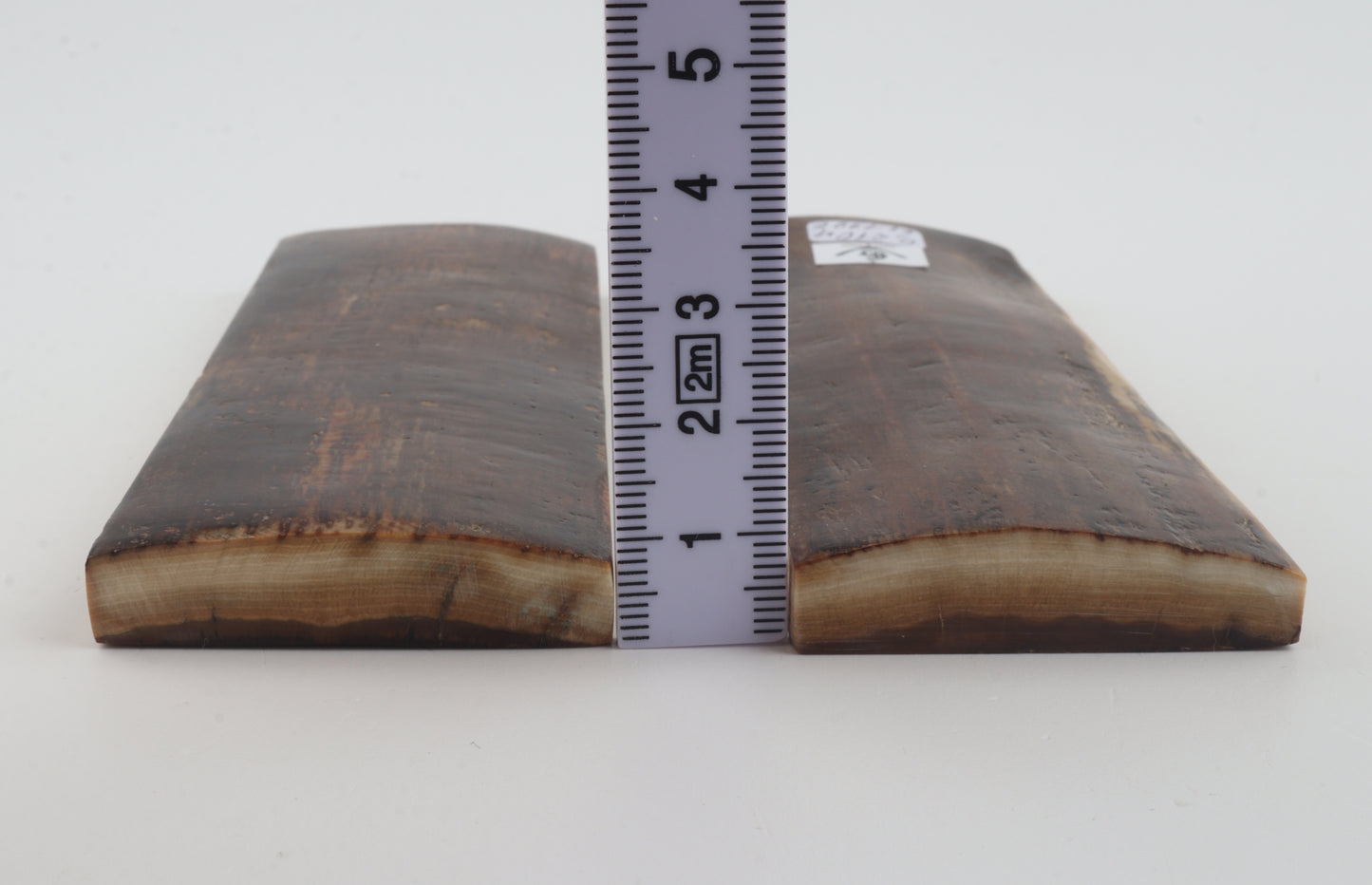 Natural mammoth bark scales