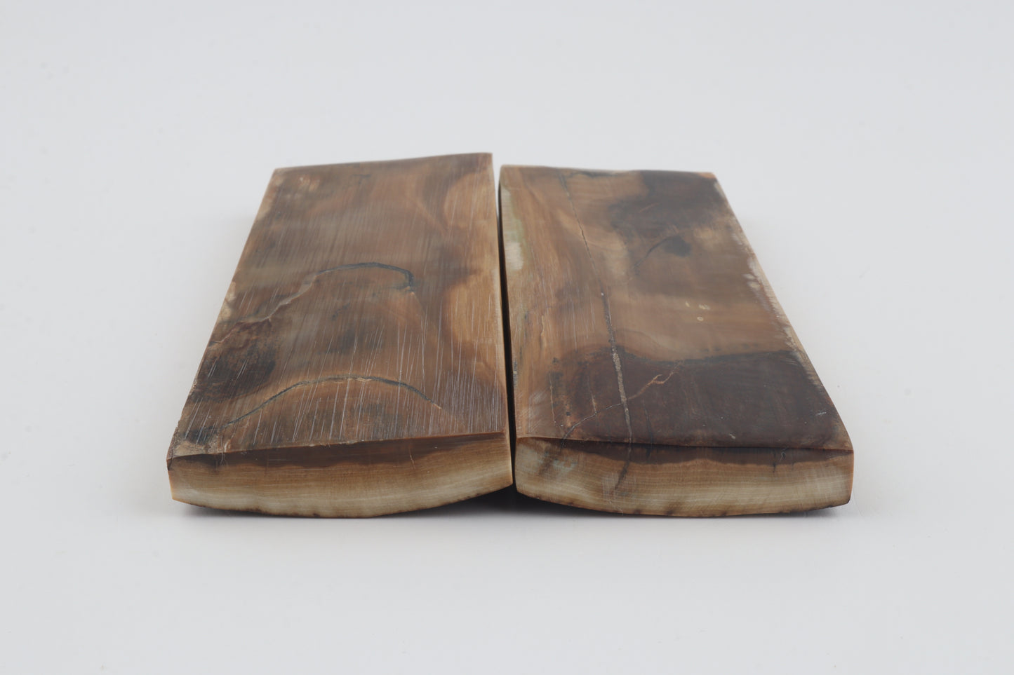 Natural mammoth bark scales