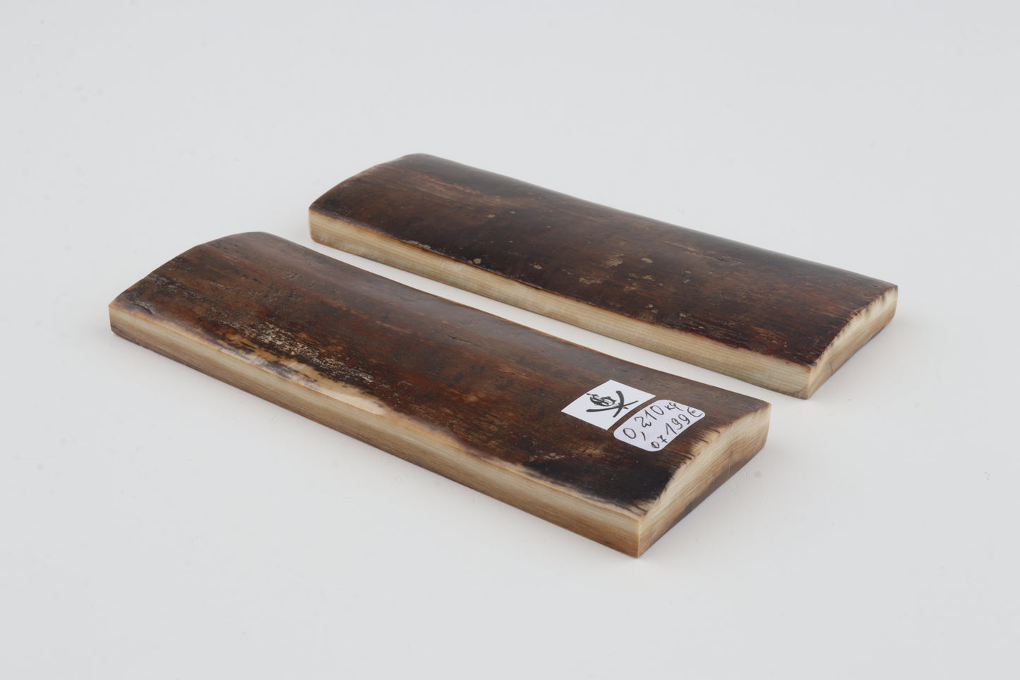 Natural mammoth bark scales