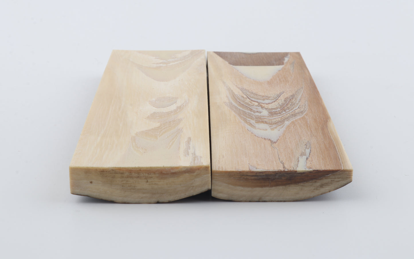 Stabilised mammoth bark scales