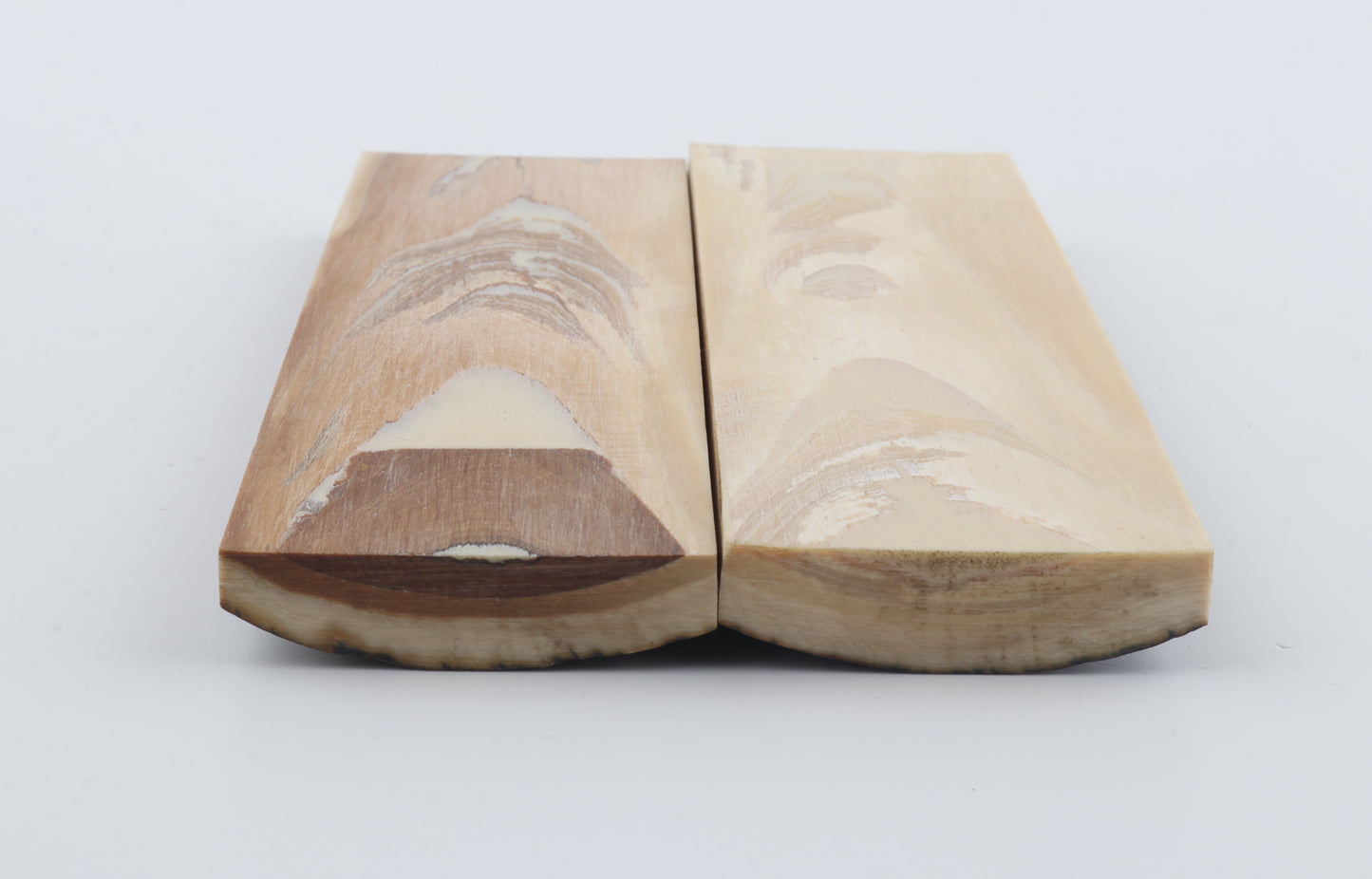 Stabilised mammoth bark scales