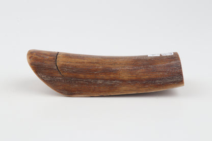 Brown mammoth ivory piece