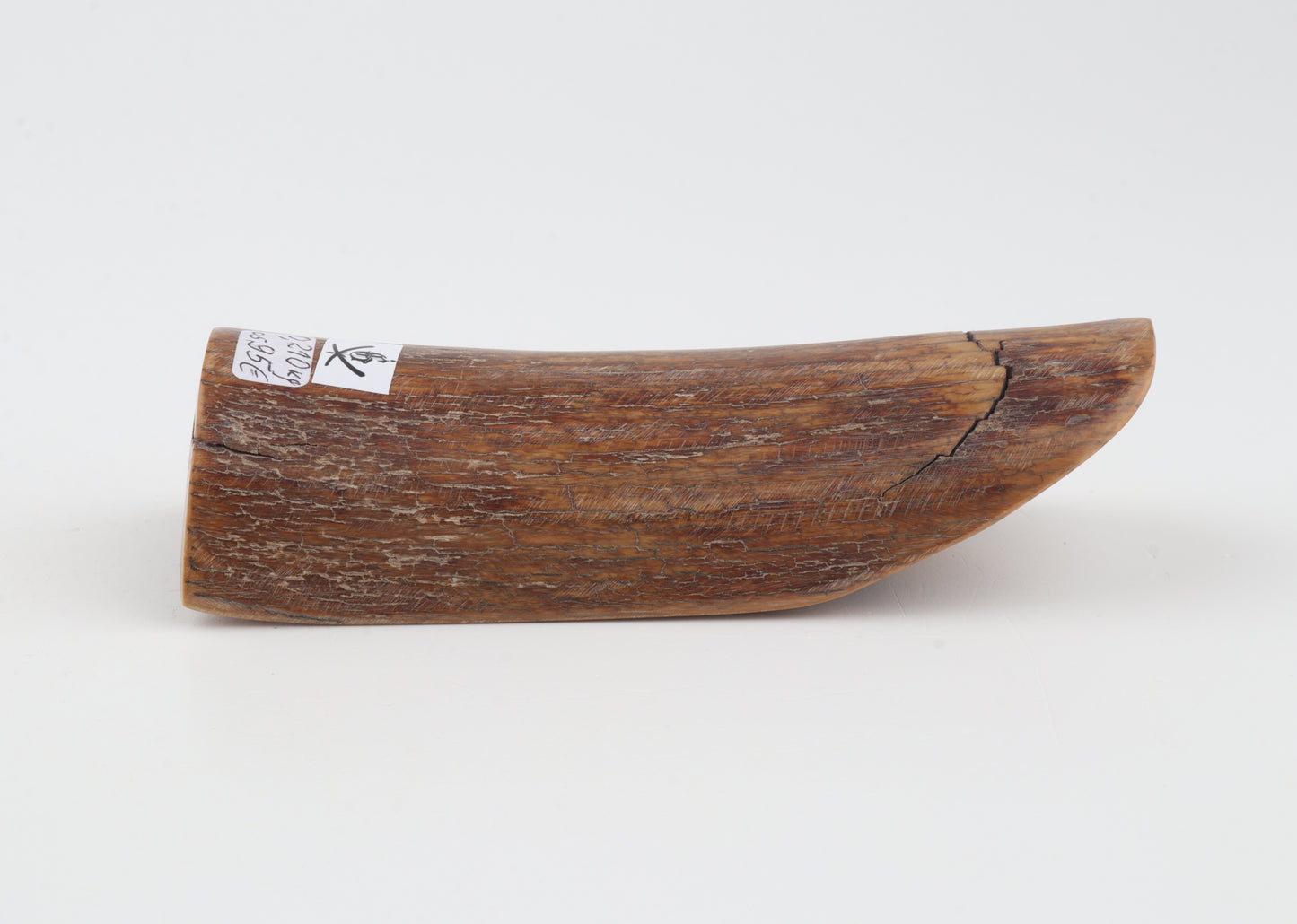 Brown mammoth ivory piece