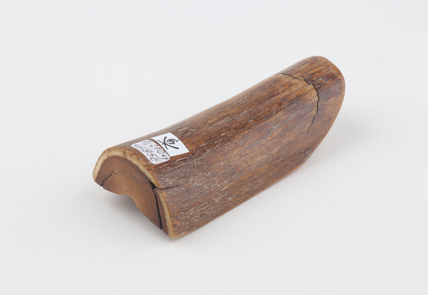 Brown mammoth ivory piece